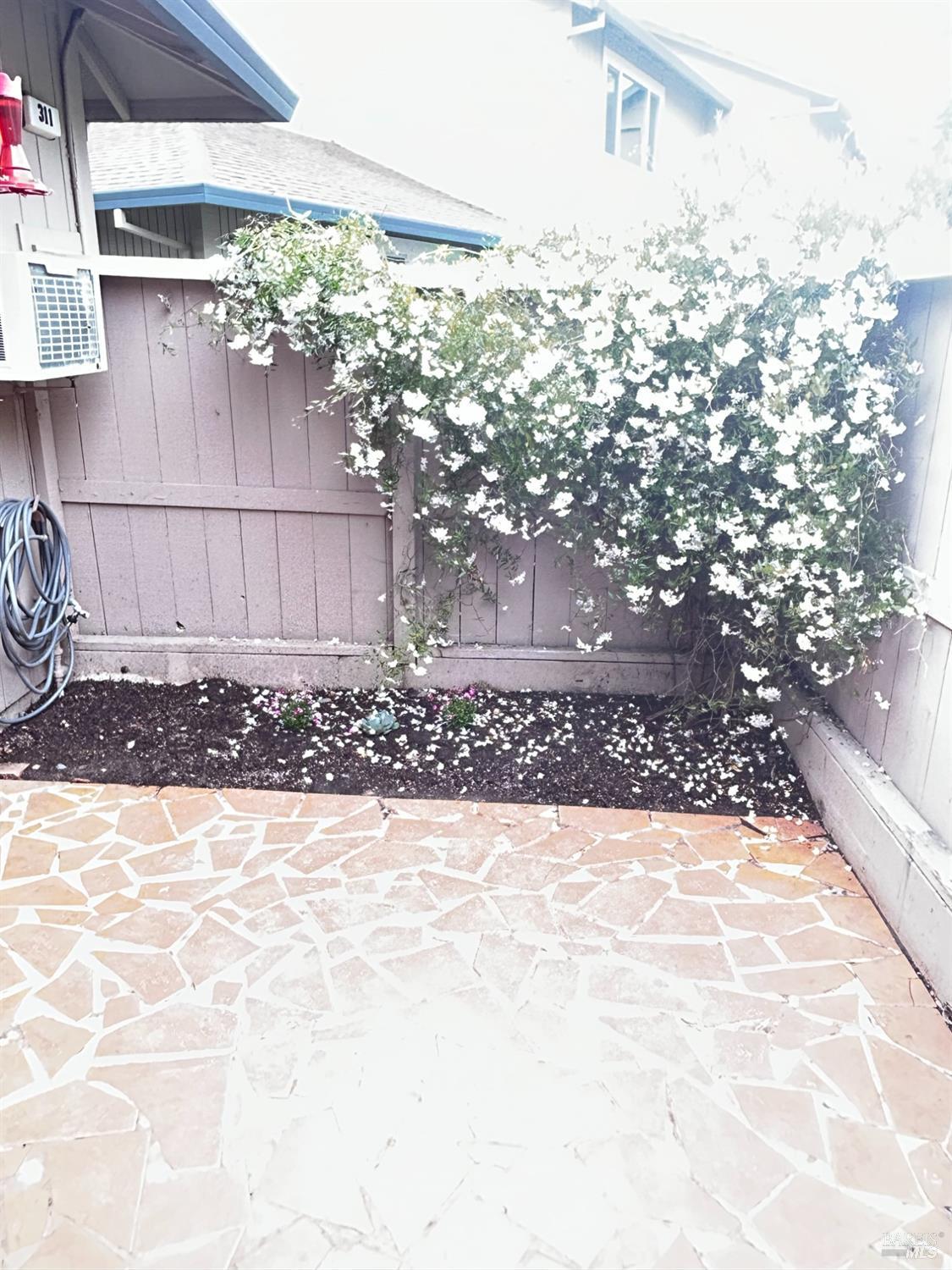 311 Algiers Court Santa Rosa, CA 95409 - Photo 11 of 20 a view of a backyard of the house