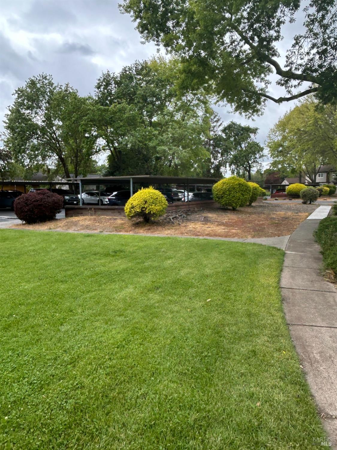 311 Algiers Court Santa Rosa, CA 95409 - Photo 16 of 20 a view of a park with large trees