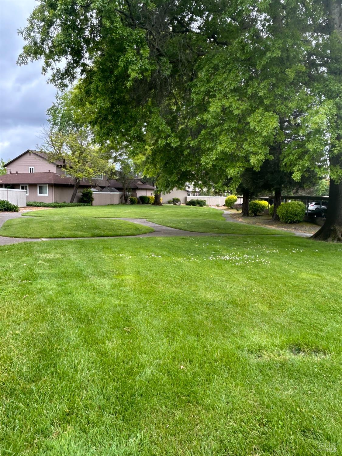 311 Algiers Court Santa Rosa, CA 95409 - Photo 17 of 20 a view of a field of grass and trees
