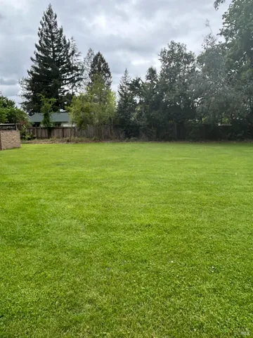 a view of yard with grass and trees