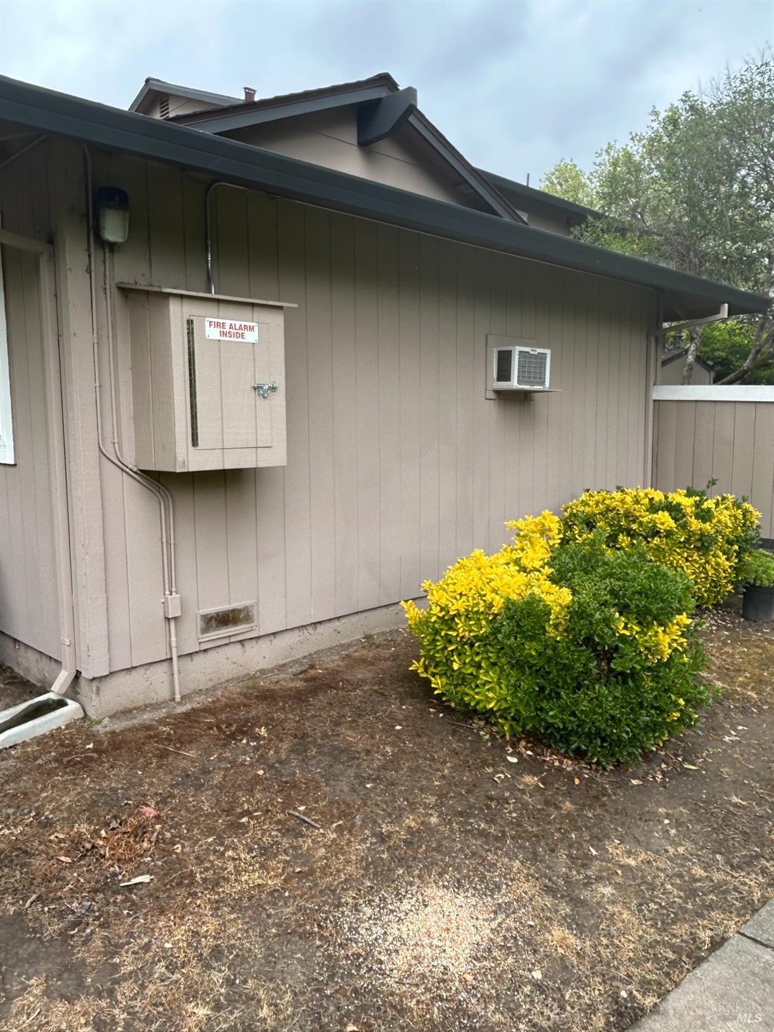 311 Algiers Court Santa Rosa, CA 95409 - Photo 19 of 20 a backyard of a house