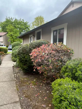 a view of a house with a garden