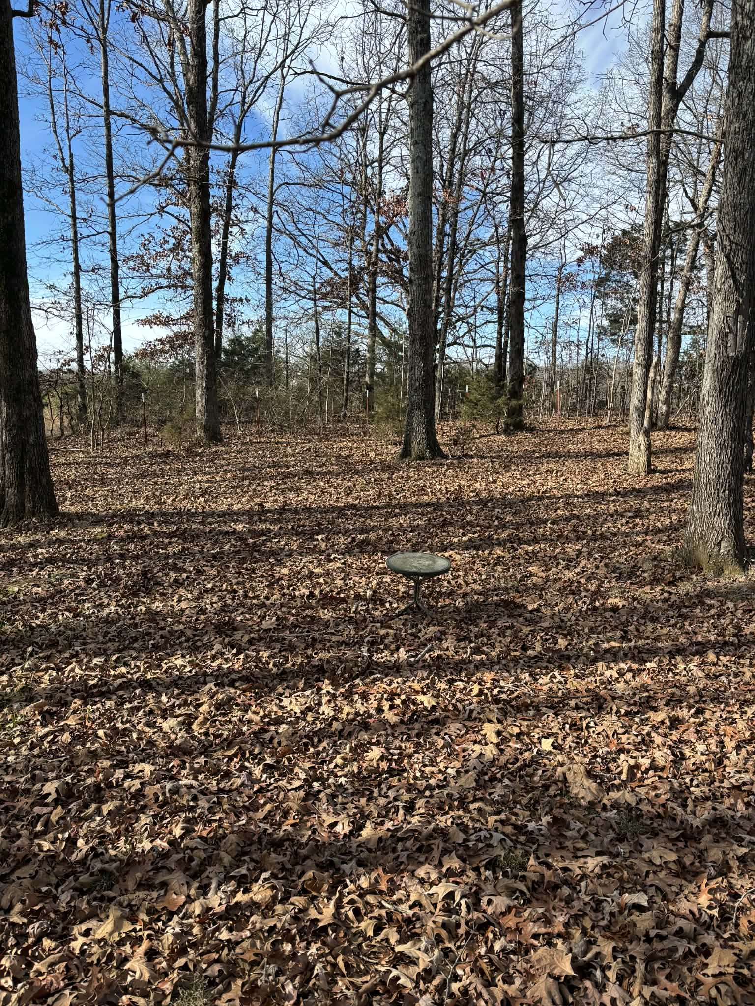 2403 Sylvia Road Dickson, TN 37055 - Photo 8 of 11