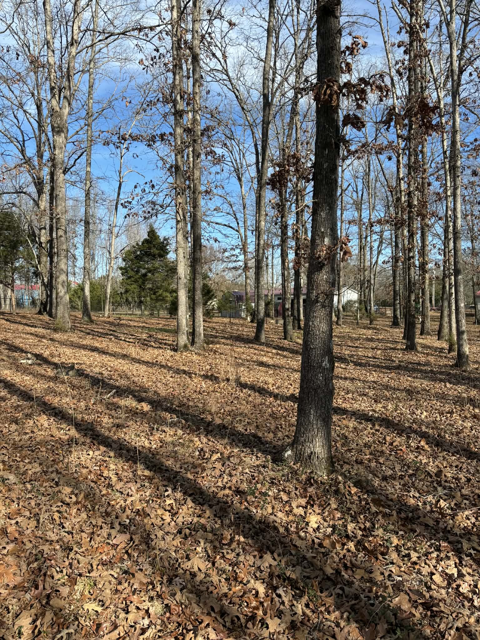 2403 Sylvia Road Dickson, TN 37055 - Photo 9 of 11