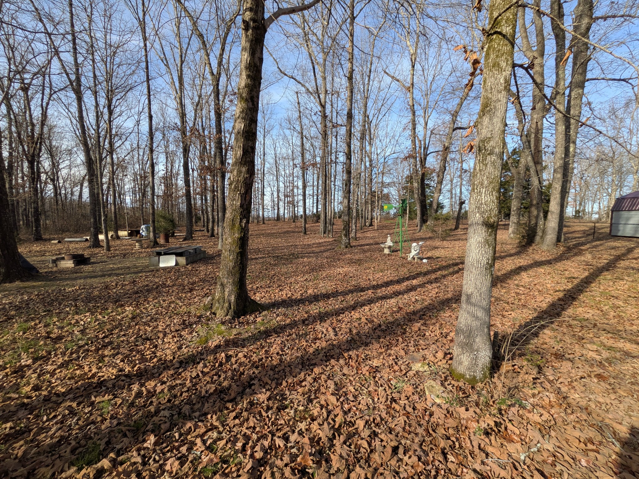 2403 Sylvia Road Dickson, TN 37055 - Photo 10 of 11