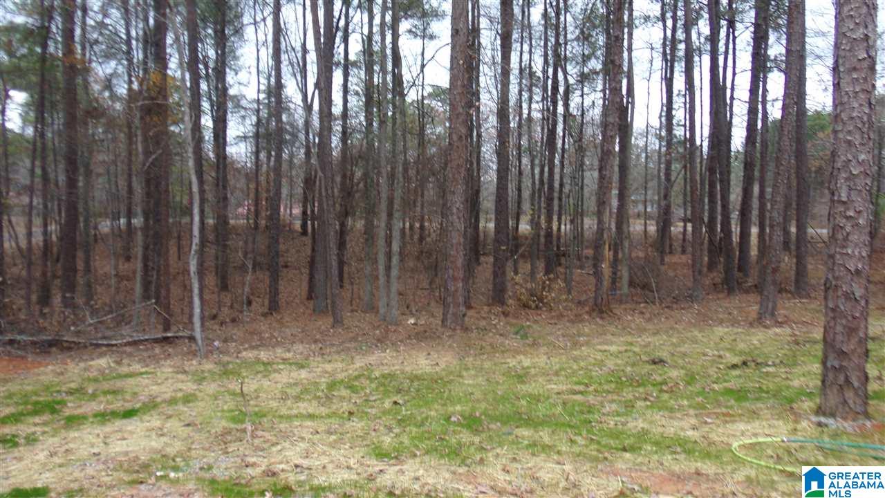 7315 Alice Road McCalla, AL 35111 - Photo 4 of 19