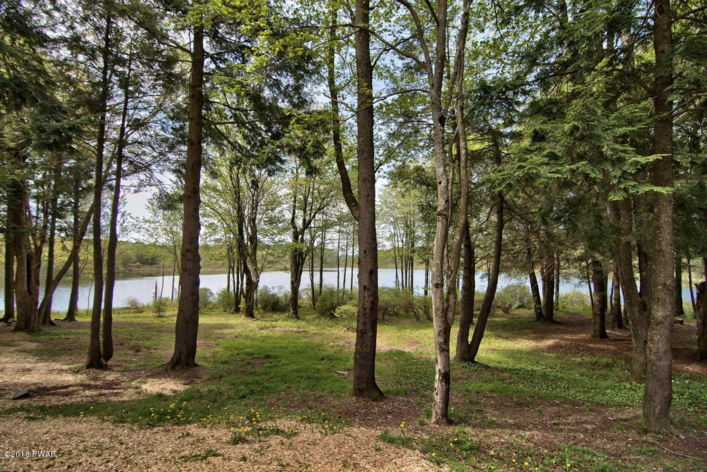 2577 Wrighter Lake Road Thompson, PA 18465 - Photo 6 of 79