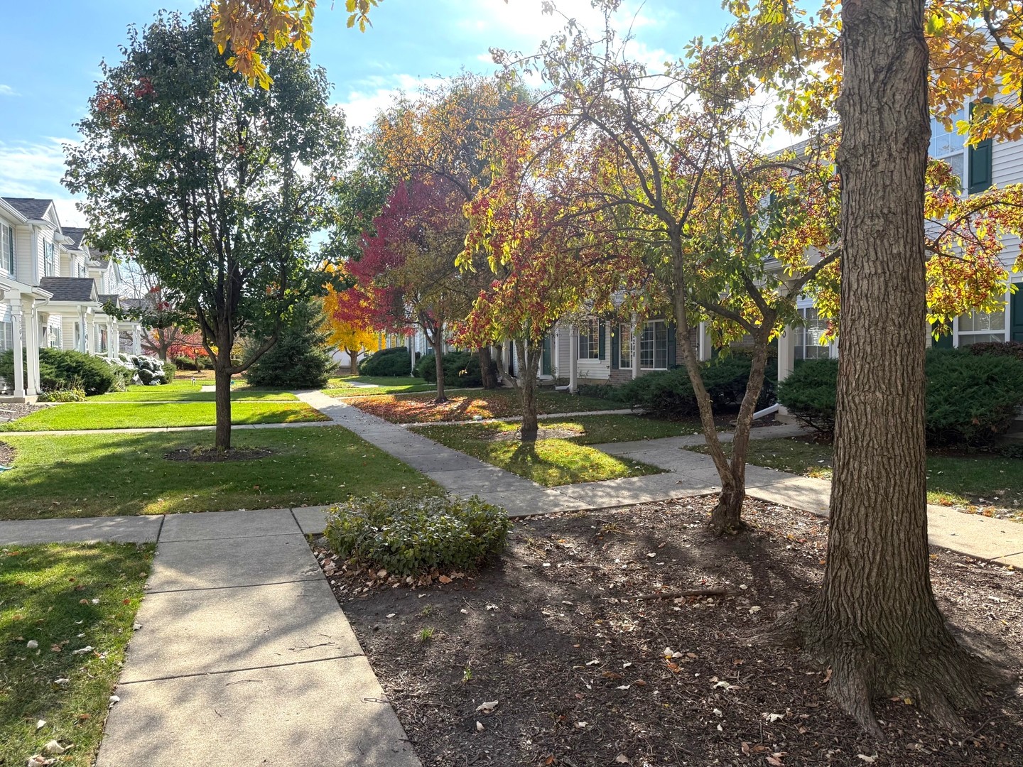 2298 Reflections Drive Aurora, IL 60502 - Photo 26 of 26 a view of a park with large trees