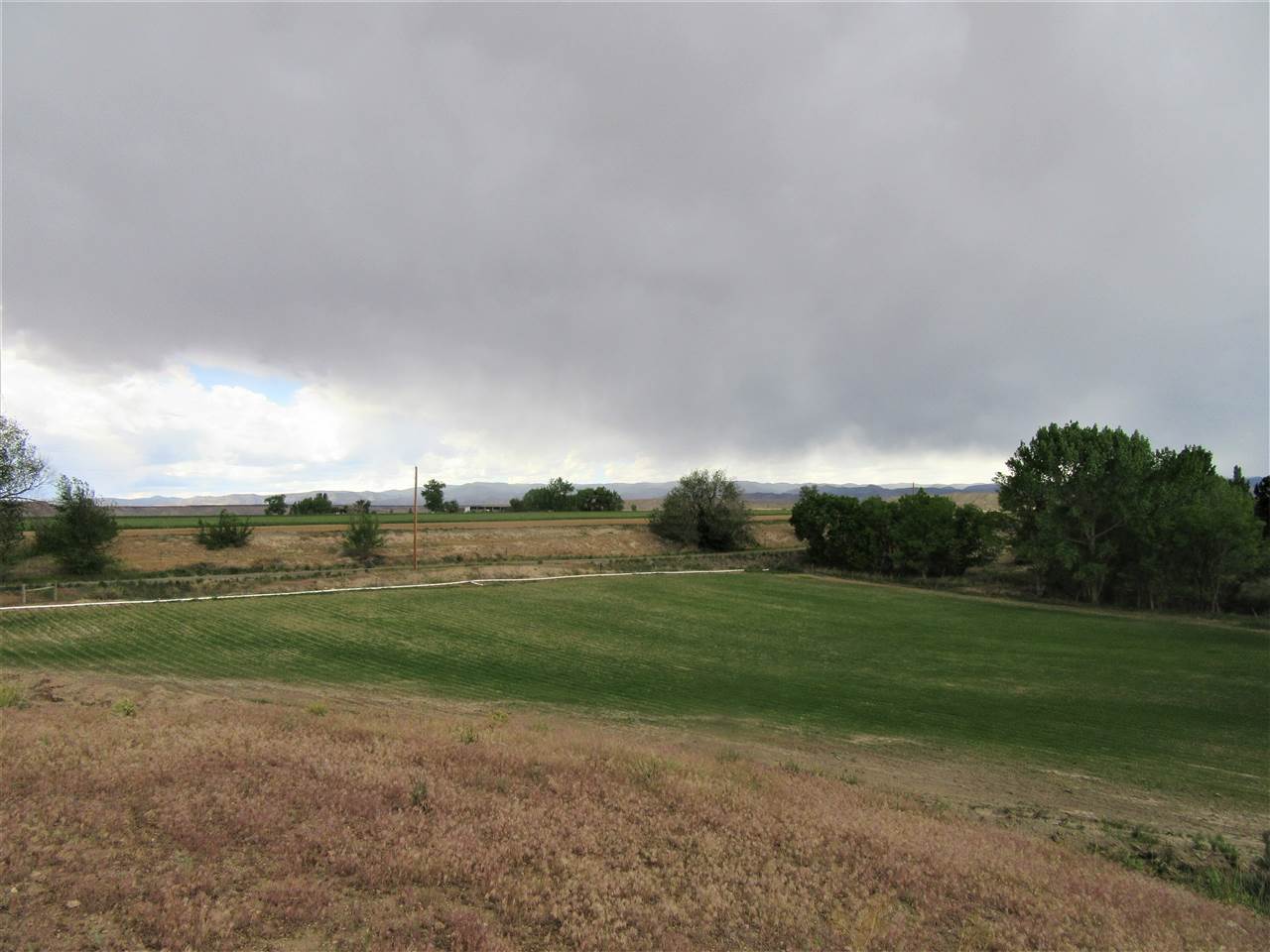 1876 6 Road Mack, CO 81525 - Photo 2 of 13 Gallery Image 2