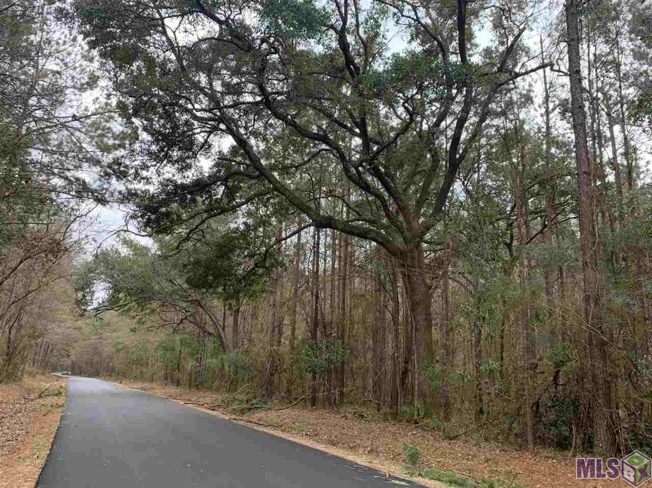 Lot 52 Nesom Road Denham Springs, LA 70706 - Photo 2 of 11 Nesom Road