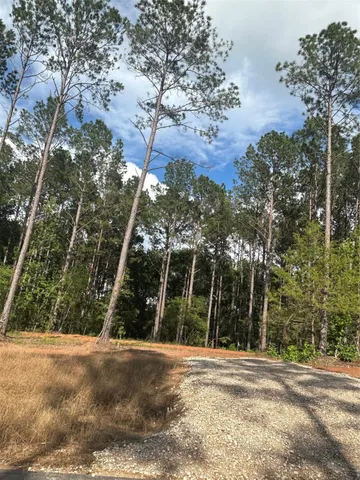 $93,950 | 11350 Annie Creek Drive, Willis, TX 77378