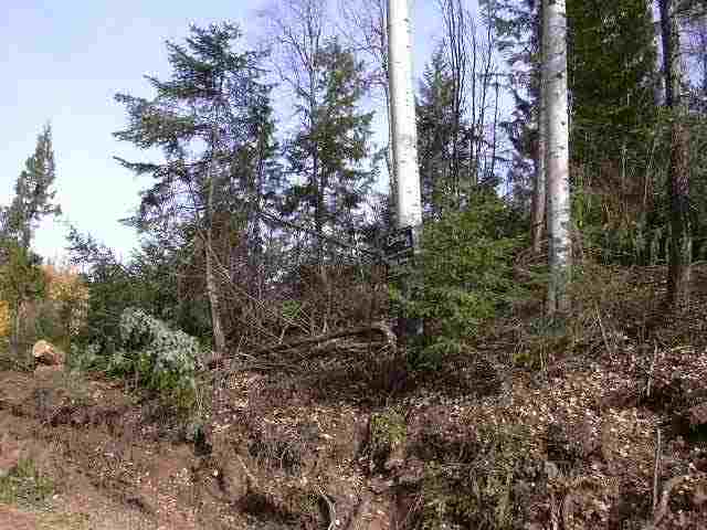 Off North Wallis Road Mead, WA 99021 - Photo 1 of 7