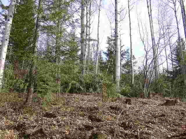 Off North Wallis Road Mead, WA 99021 - Photo 2 of 7