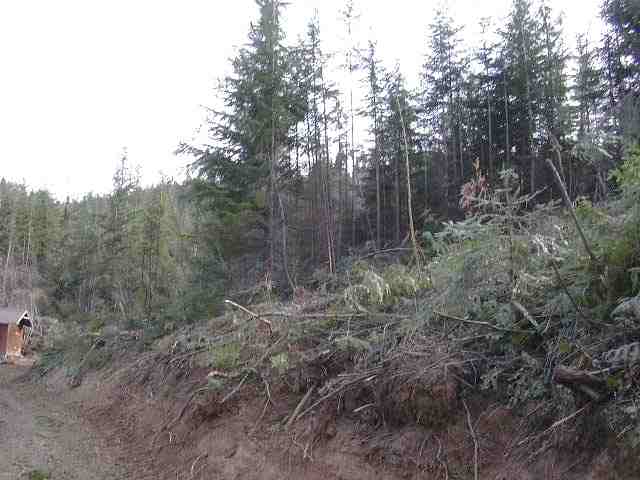 Off North Wallis Road Mead, WA 99021 - Photo 4 of 7