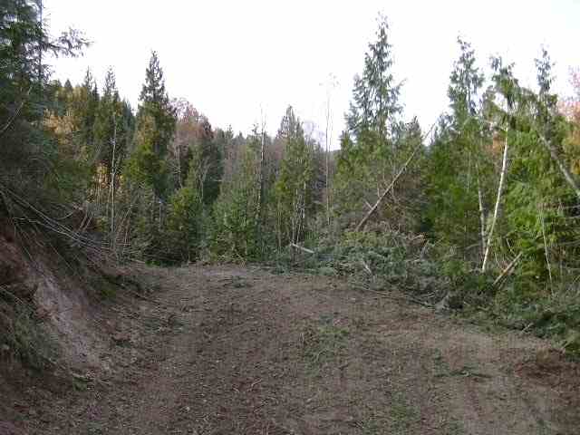 Off North Wallis Road Mead, WA 99021 - Photo 5 of 7