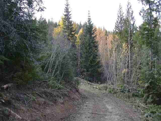 Off North Wallis Road Mead, WA 99021 - Photo 6 of 7