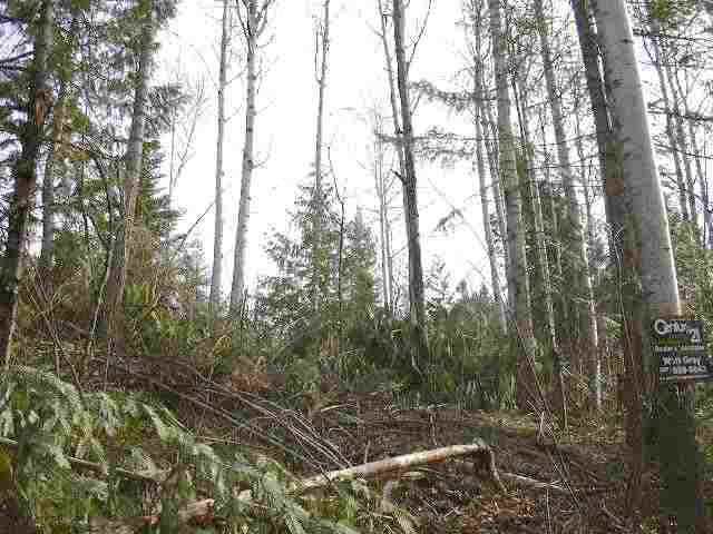 Off North Wallis Road Mead, WA 99021 - Photo 7 of 7