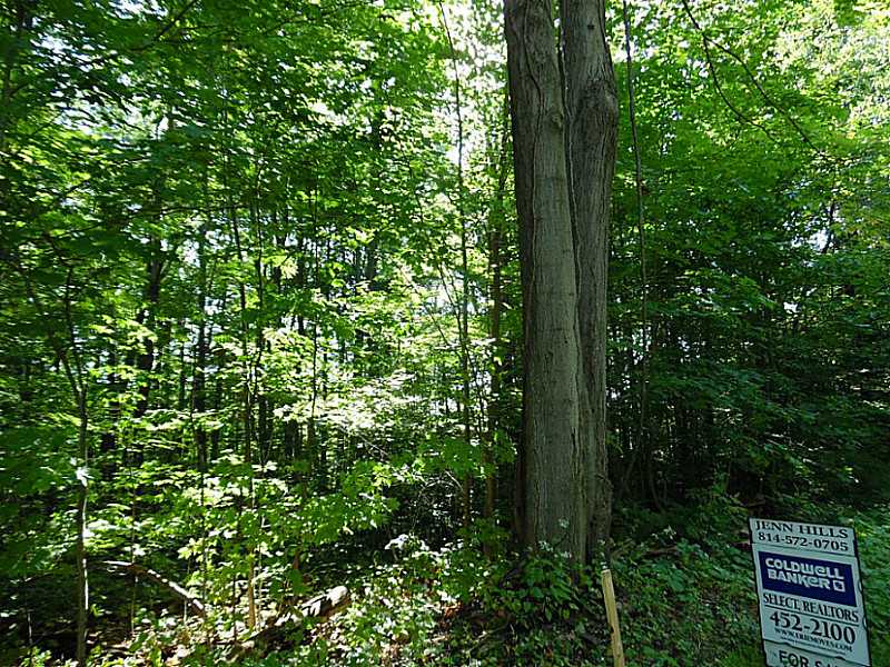 Dobler Road Girard, PA 16417 - Photo 4 of 8 Land/Lot.