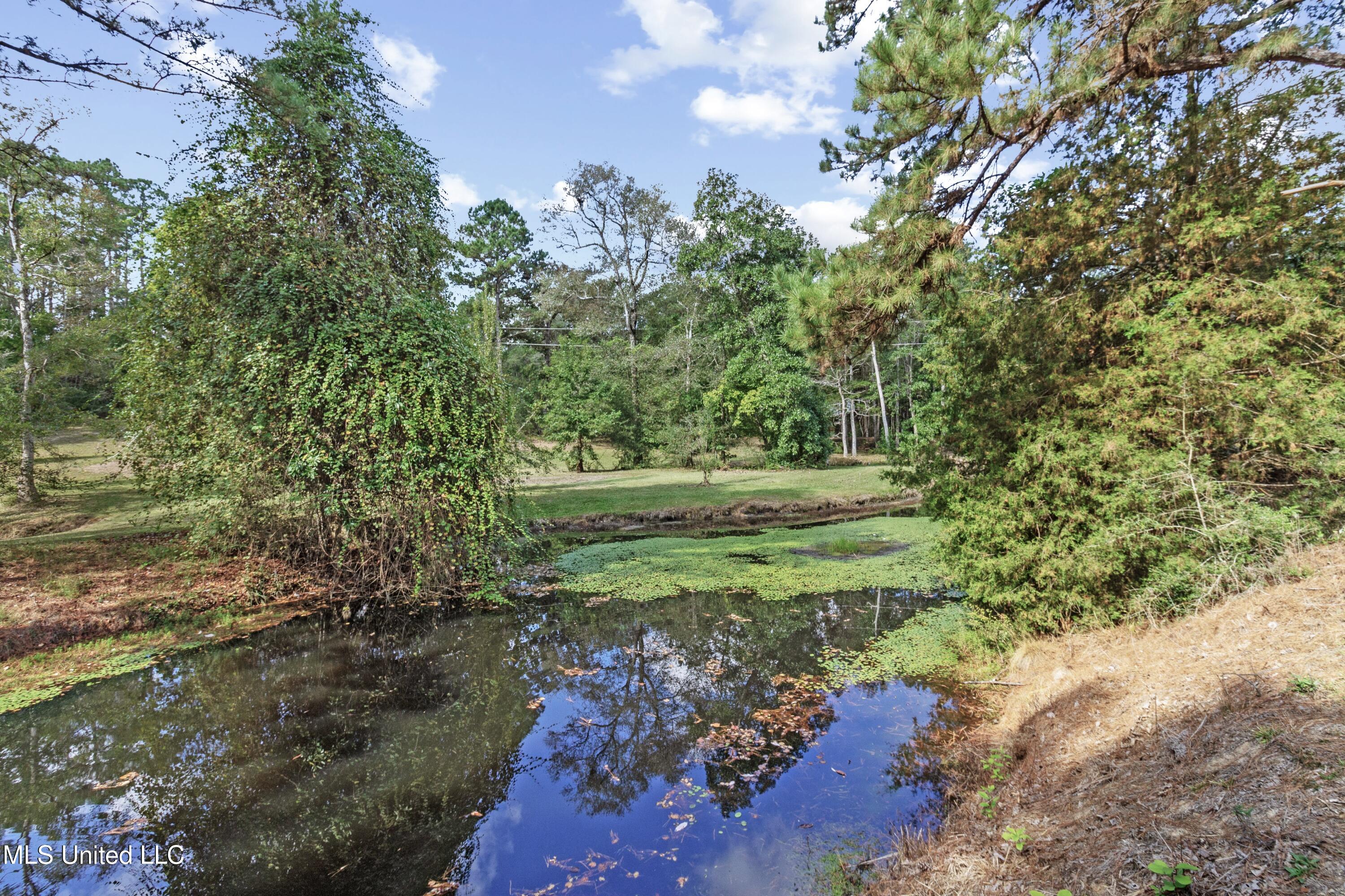 Hillsboro Road Vancleave, MS 39565 - Photo 15 of 17 IMG_4562