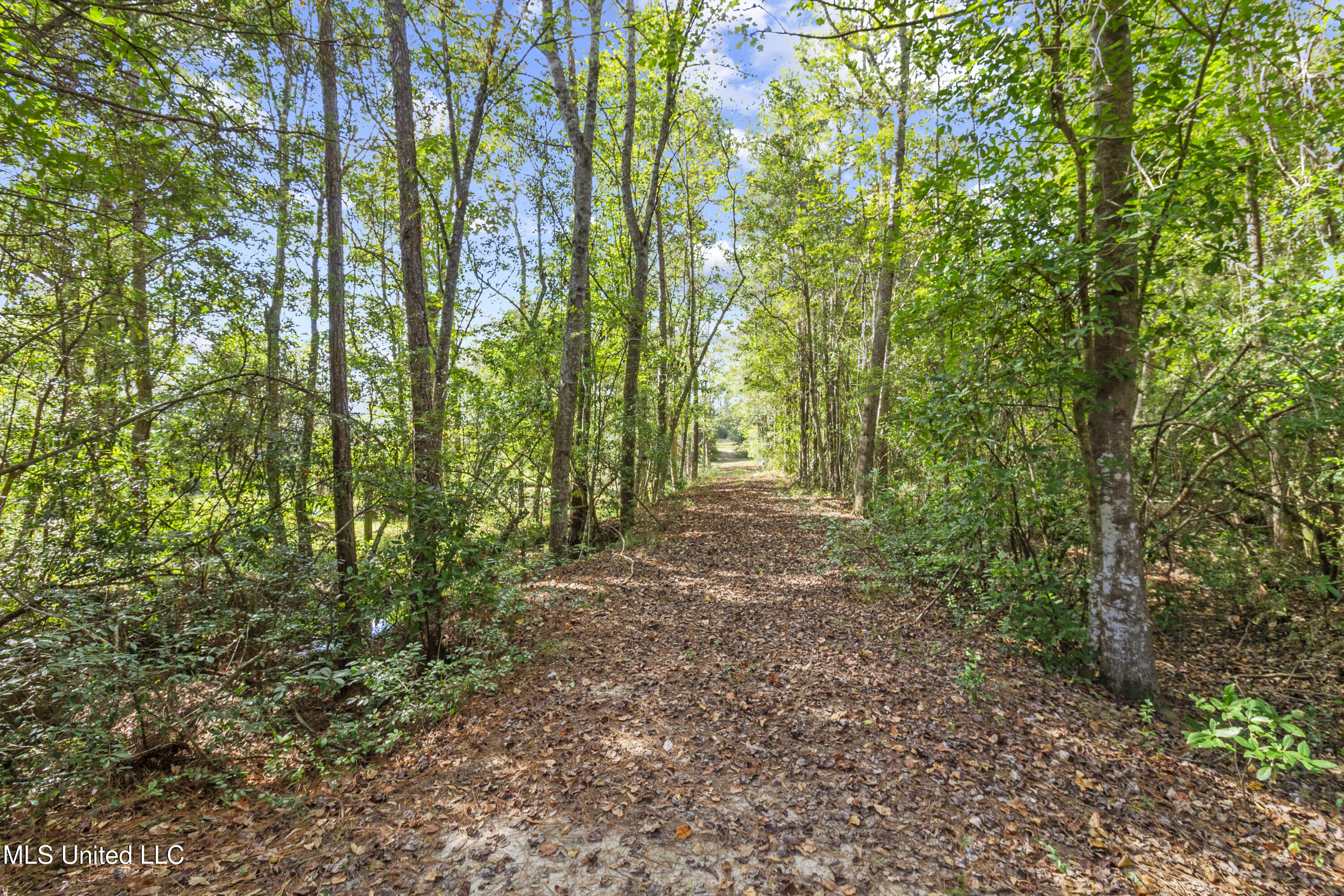 Hillsboro Road Vancleave, MS 39565 - Photo 2 of 17 IMG_4526