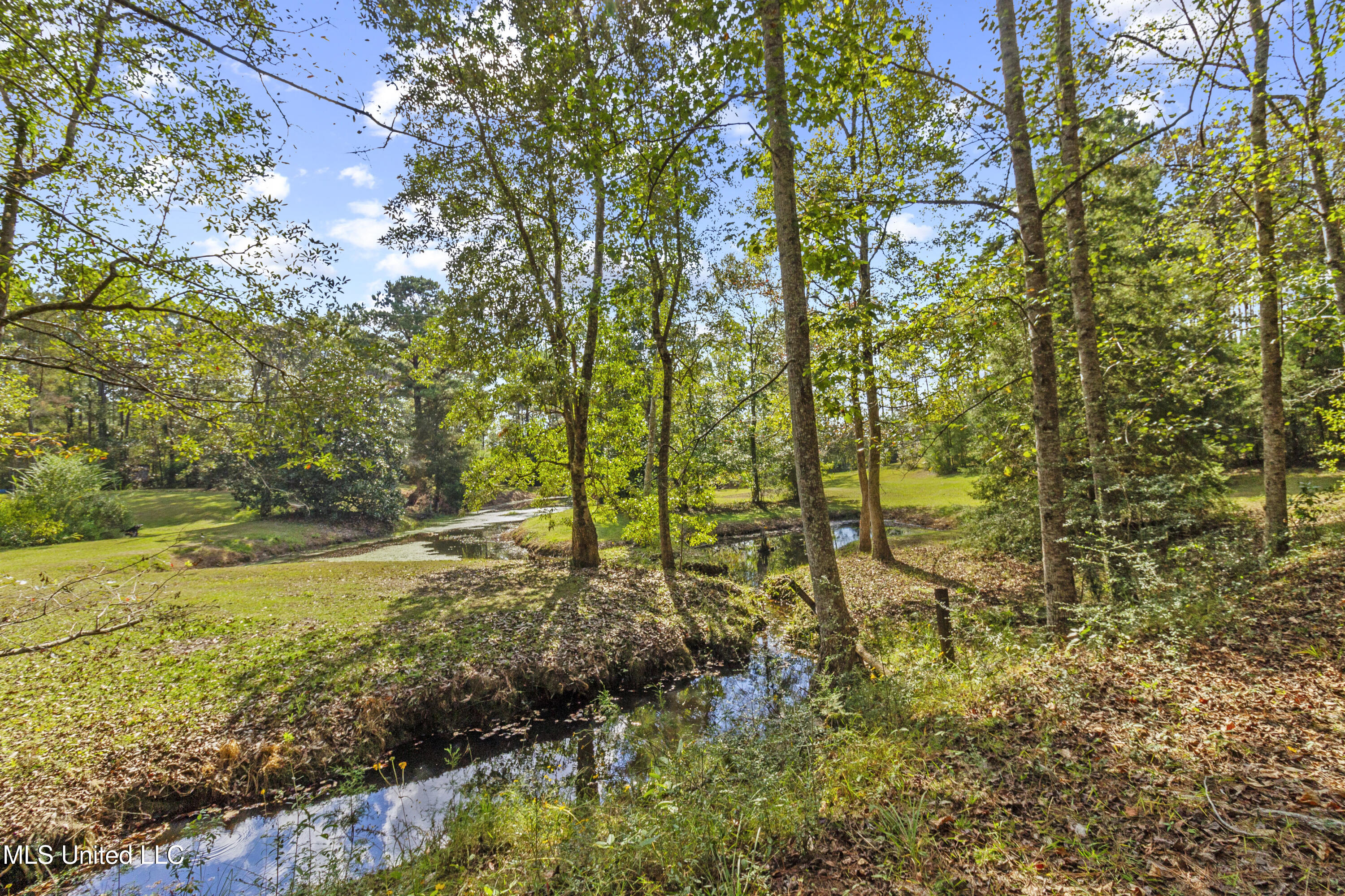 Hillsboro Road Vancleave, MS 39565 - Photo 3 of 17 IMG_4532