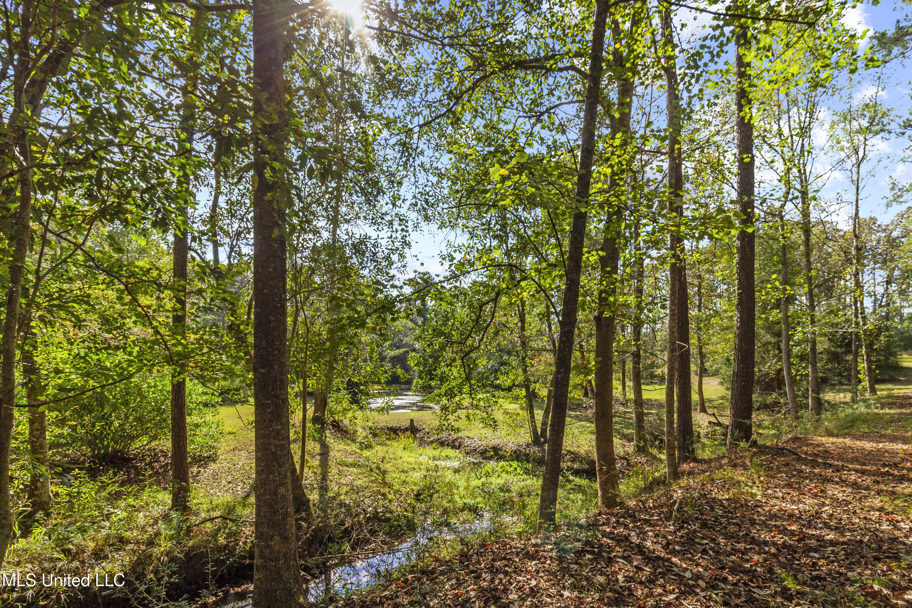 Hillsboro Road Vancleave, MS 39565 - Photo 10 of 17 IMG_4529