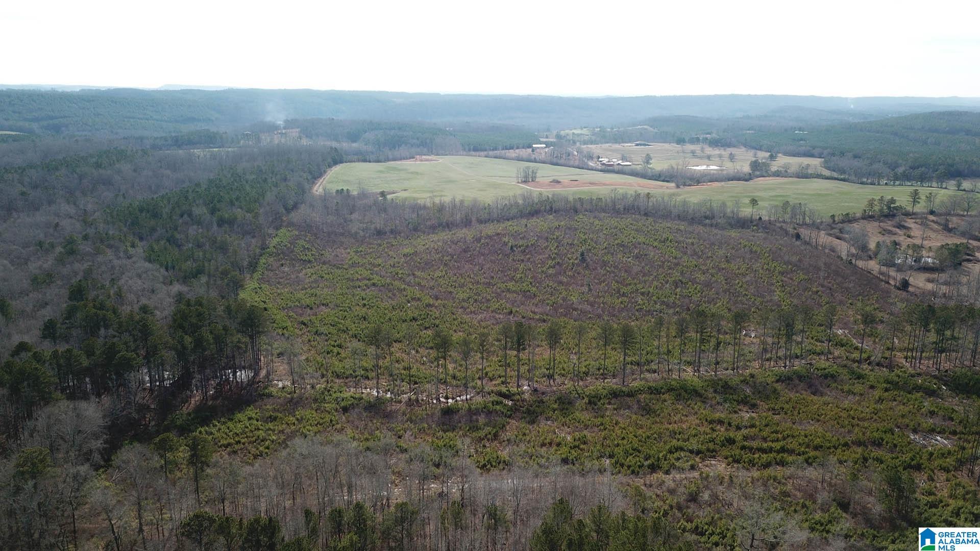 0 Altoona Cutoff Road, Unit 47 5 Oneonta, AL 35121 - Photo 22 of 36