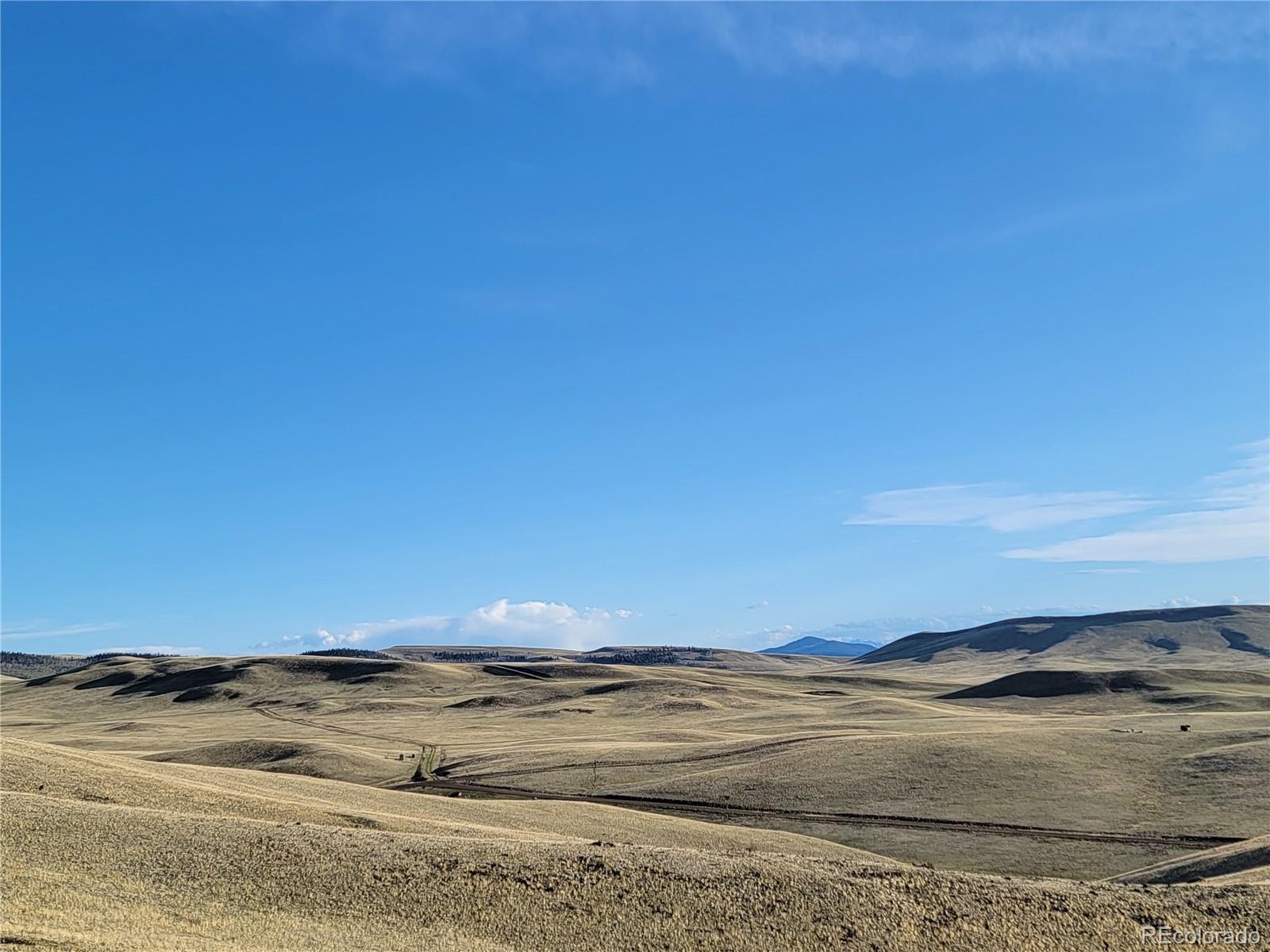 363 Uwon Road Hartsel, CO 80449 - Photo 7 of 11