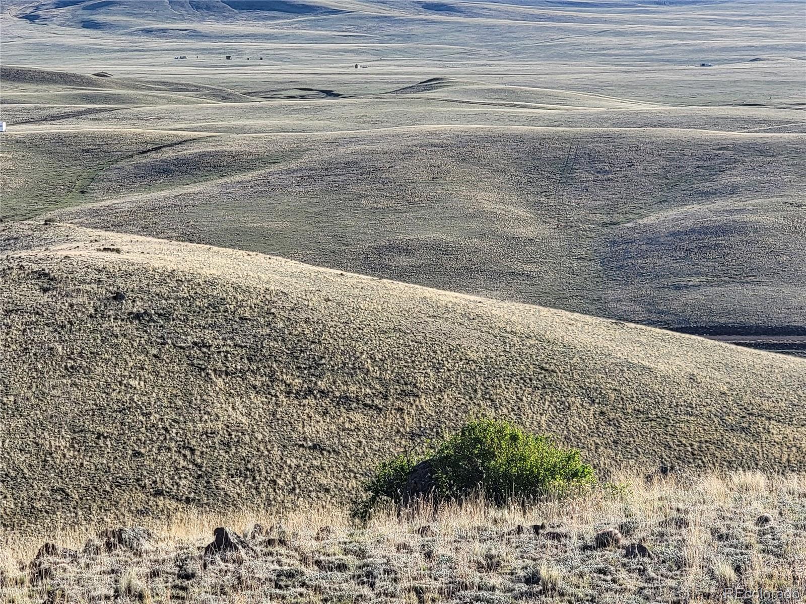 363 Uwon Road Hartsel, CO 80449 - Photo 8 of 11