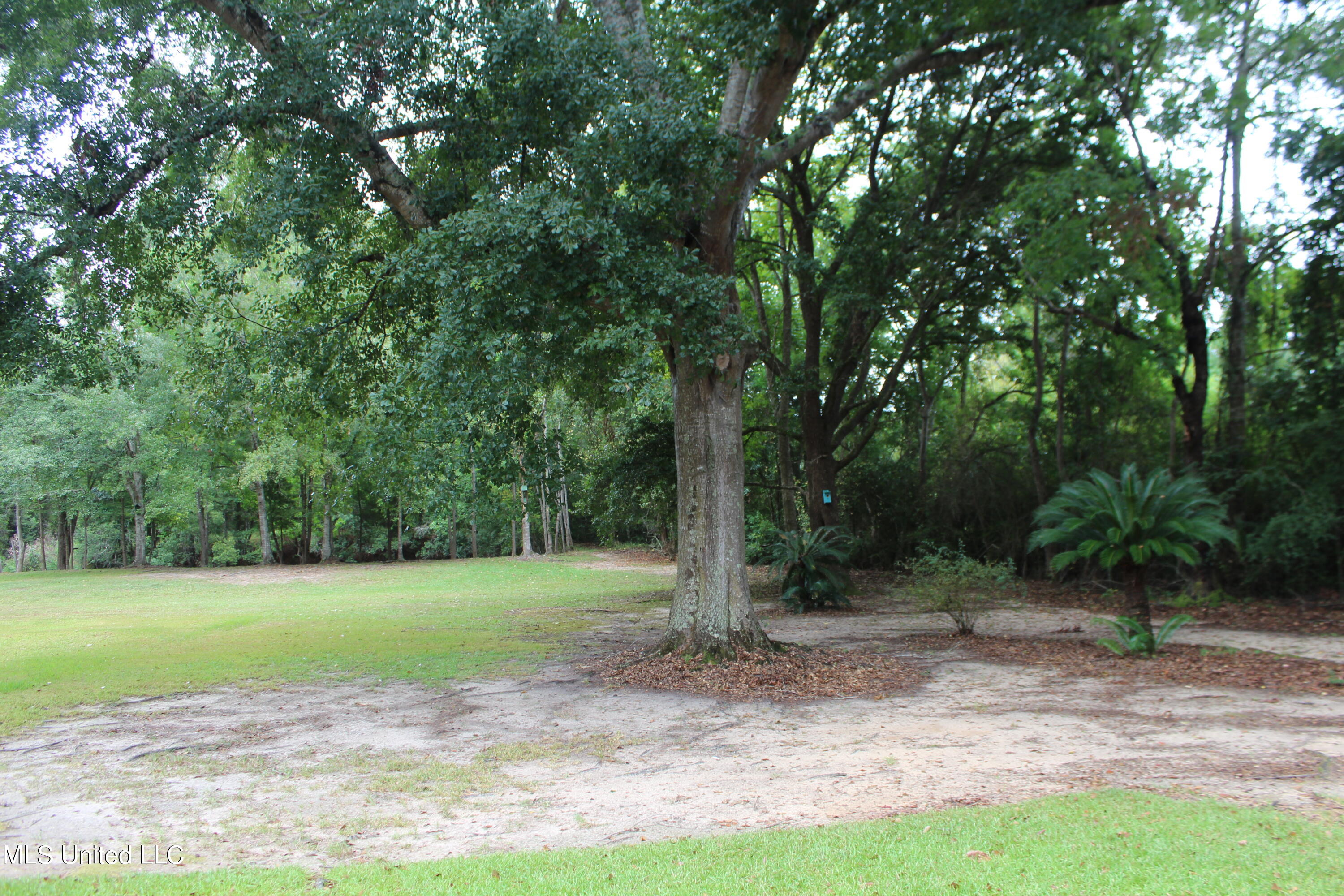 7230 Big Island Road Moss Point, MS 39562 - Photo 4 of 21 IMG_6875