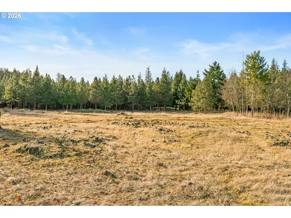 a view of an ocean and beach