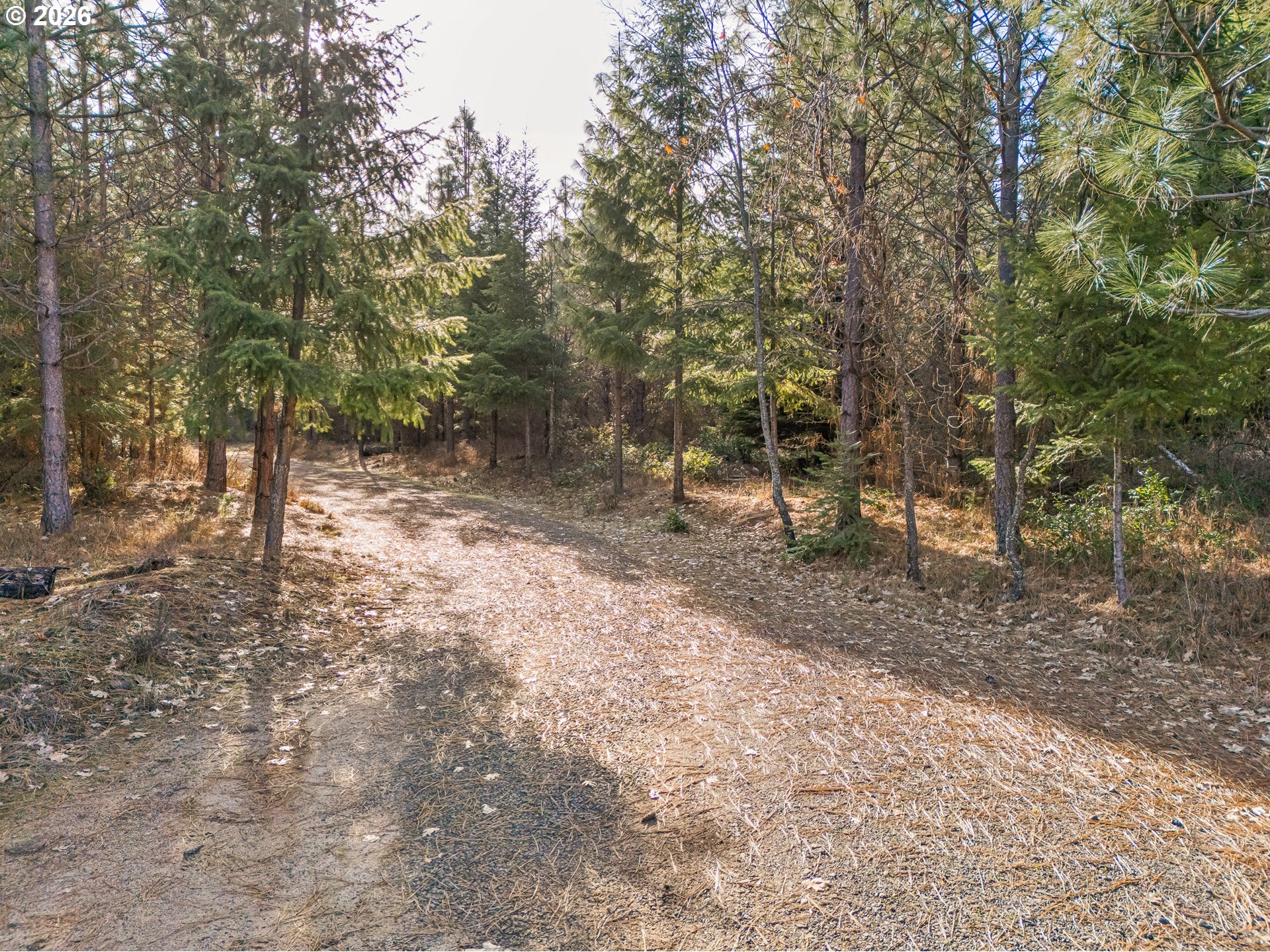 32916 Highway 62 Trail, OR 97541 - Photo 16 of 38