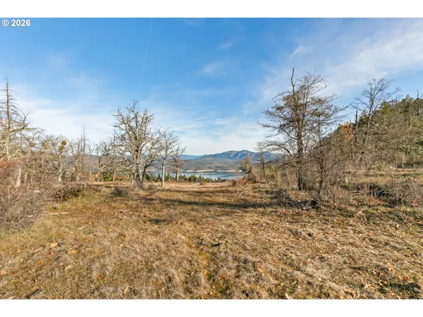 a view of an ocean with a mountain