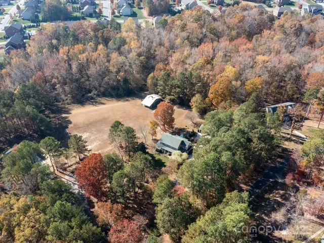 a view of a tree in a yard