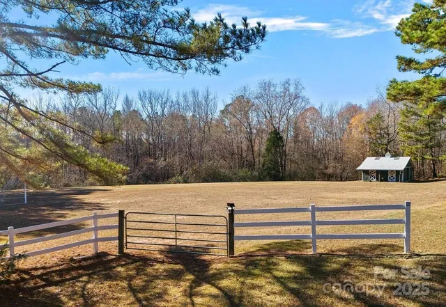 a view of a bench in the middle of a yard