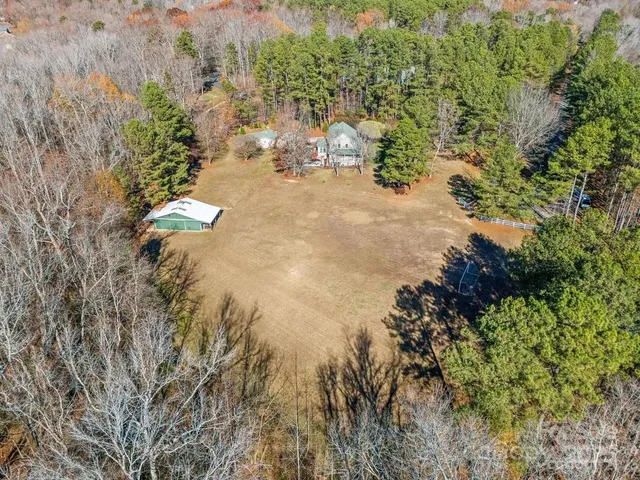a view of a tree with a yard