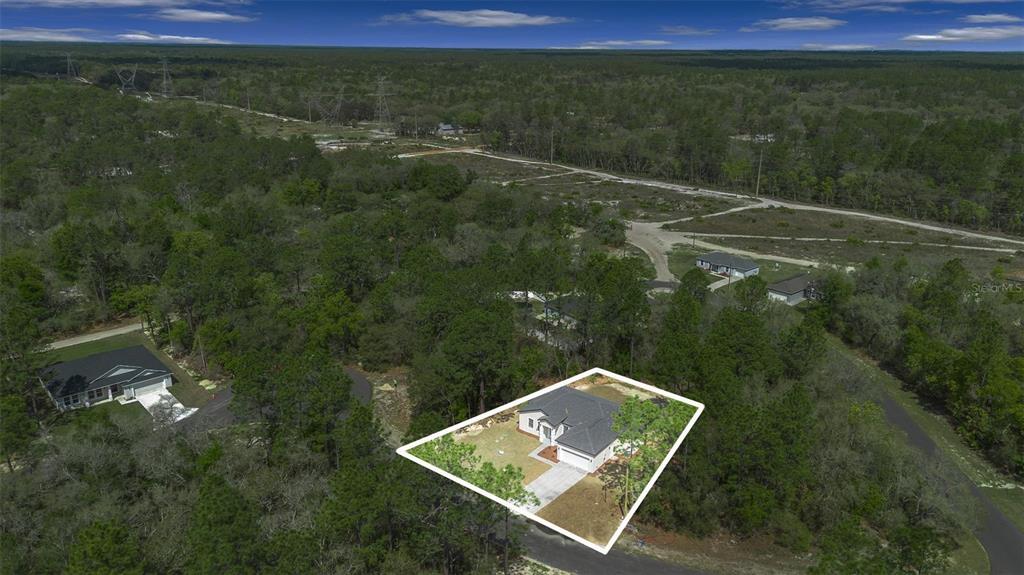 6991 Southwest 151 Loop Ocala, FL 34473 - Photo 8 of 38 Gallery Image 8
