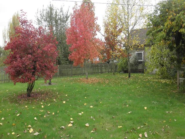 20475 Southwest Christensen Road McMinnville, OR 97128 - Photo 2 of 16 Yard