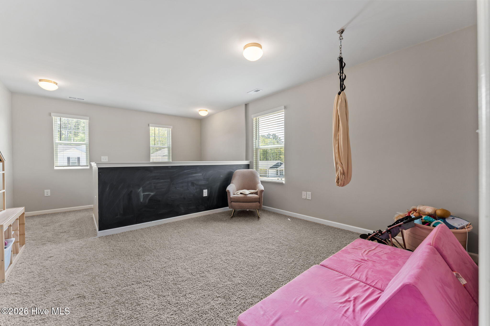 738 Conductor Court Vass, NC 28394 - Photo 22 of 49 22-web-or-mls-DSC00105