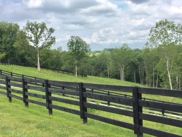 2310 Slippery Rock Road Owenton, KY 40359 - Photo 28 of 28 Gallery Image 28