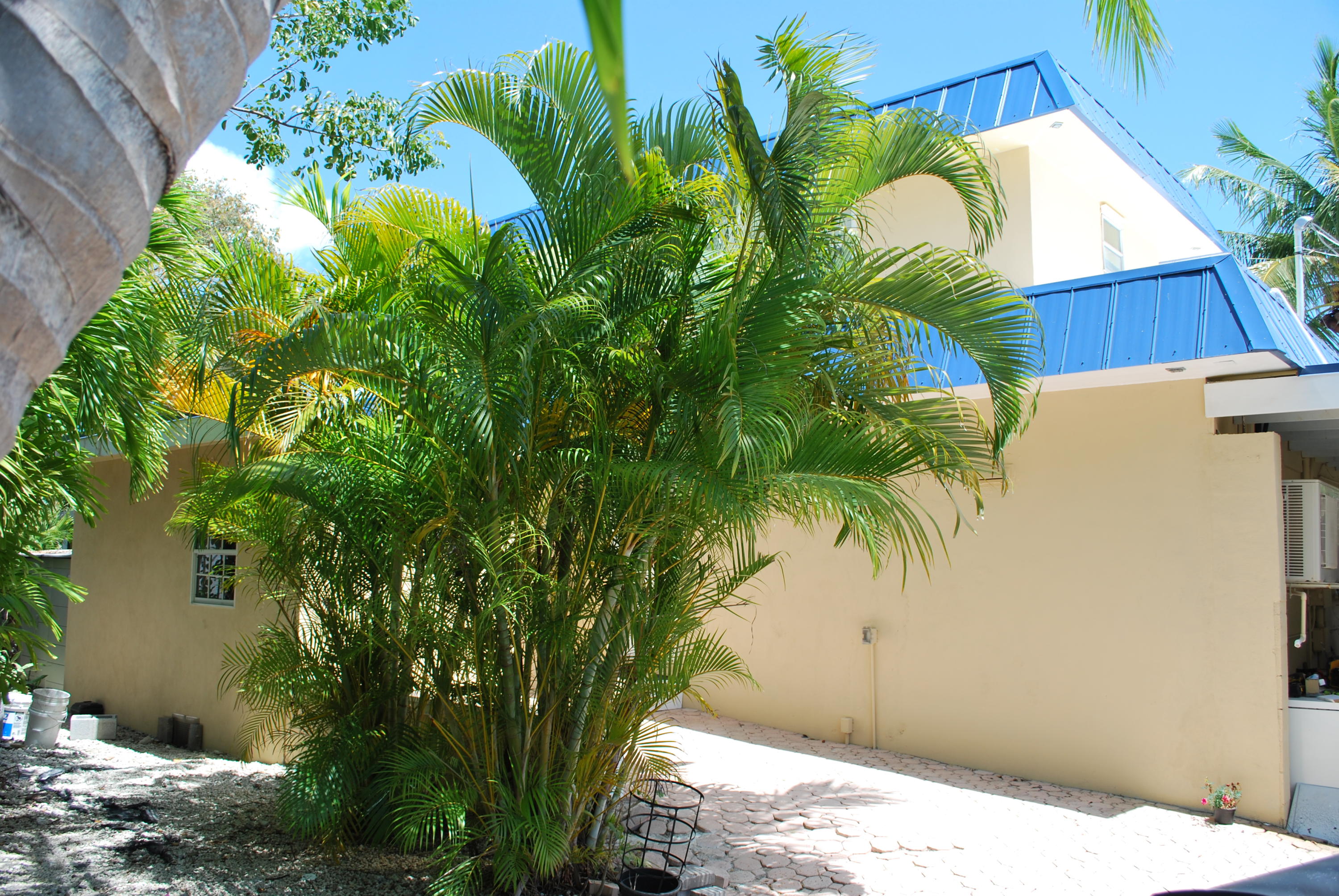 1155 Warner Road Summerland Key, FL 33042 - Photo 31 of 40 DSC_1067 (1)