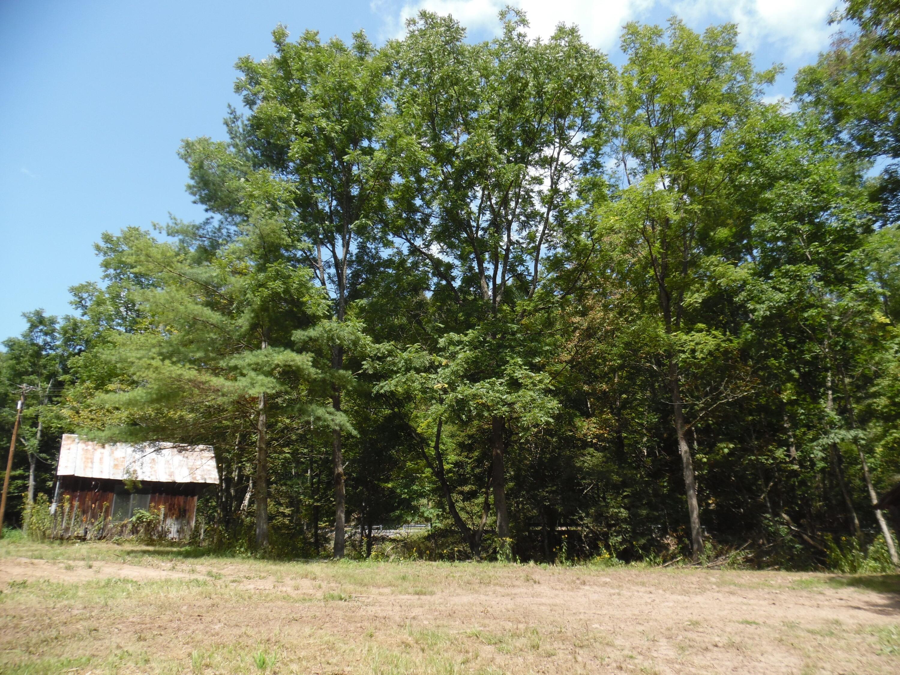 6234 Edray Road Cass, WV 24927 - Photo 54 of 66 Gallery Image 54