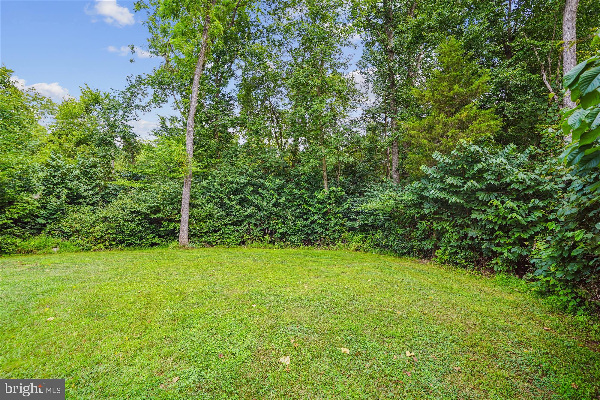 8235 Rogues Road Catlett, VA 20119 - Photo 101 of 106 Front Yard