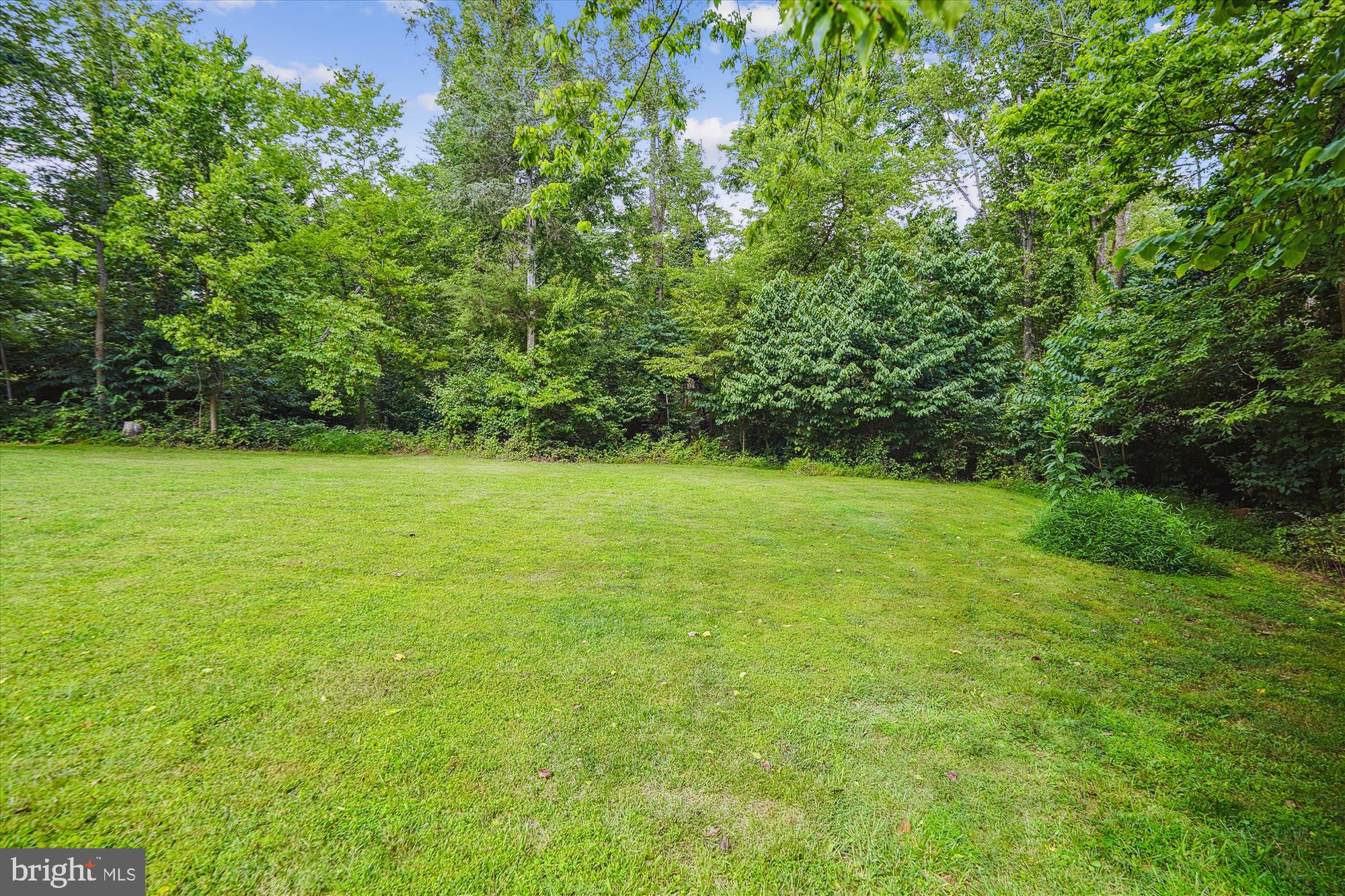 8235 Rogues Road Catlett, VA 20119 - Photo 100 of 106 Back Yard
