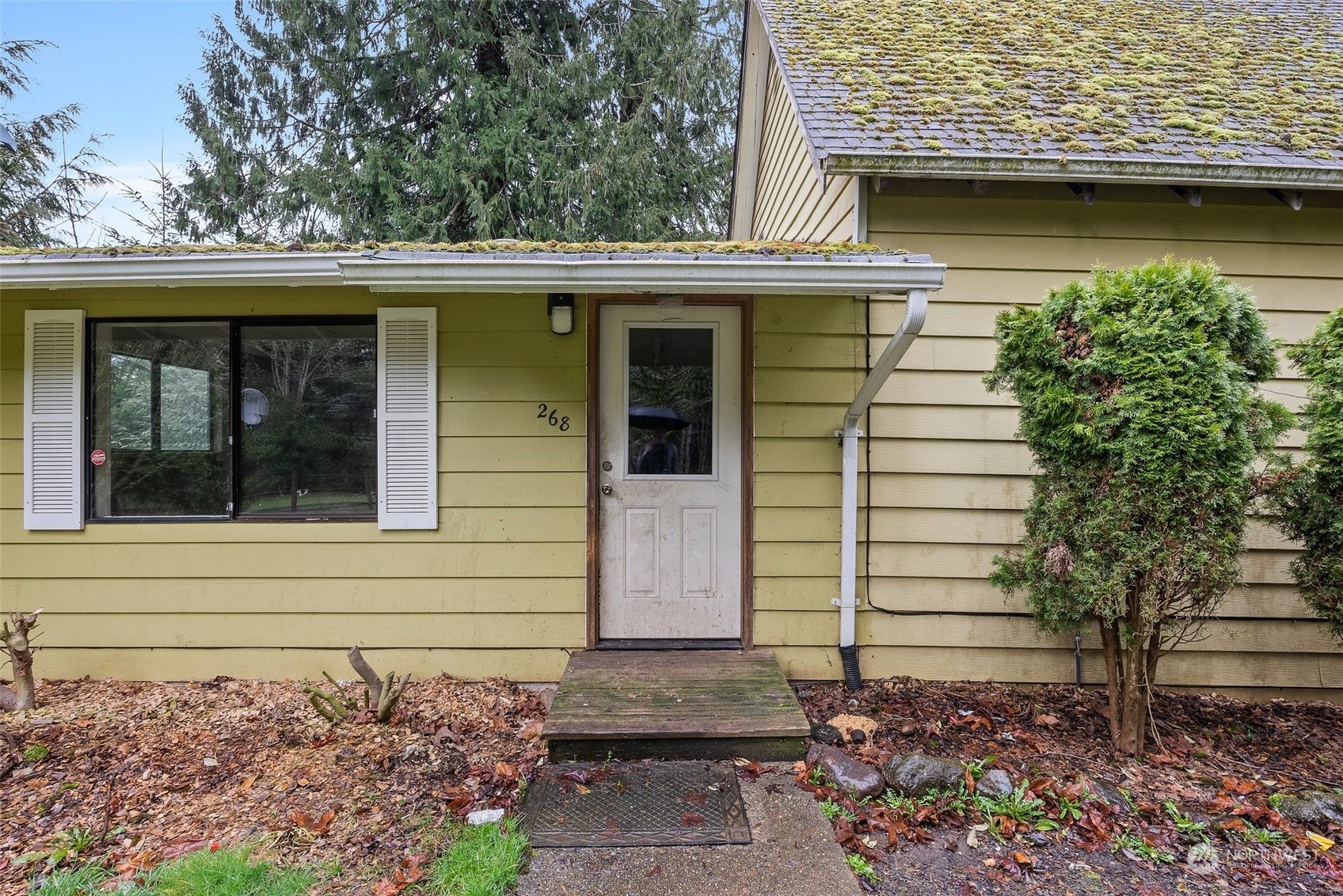 268 Tauscher Road Onalaska, WA 98570 - Photo 8 of 30 Gallery Image 8