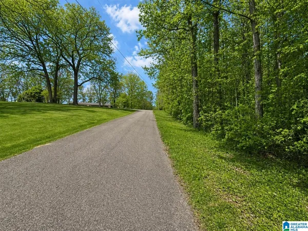 $39,900 | 0 Shamrock Lane, Piedmont, AL 36272
