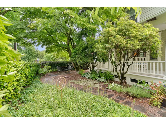 a view of a yard with plants and large trees