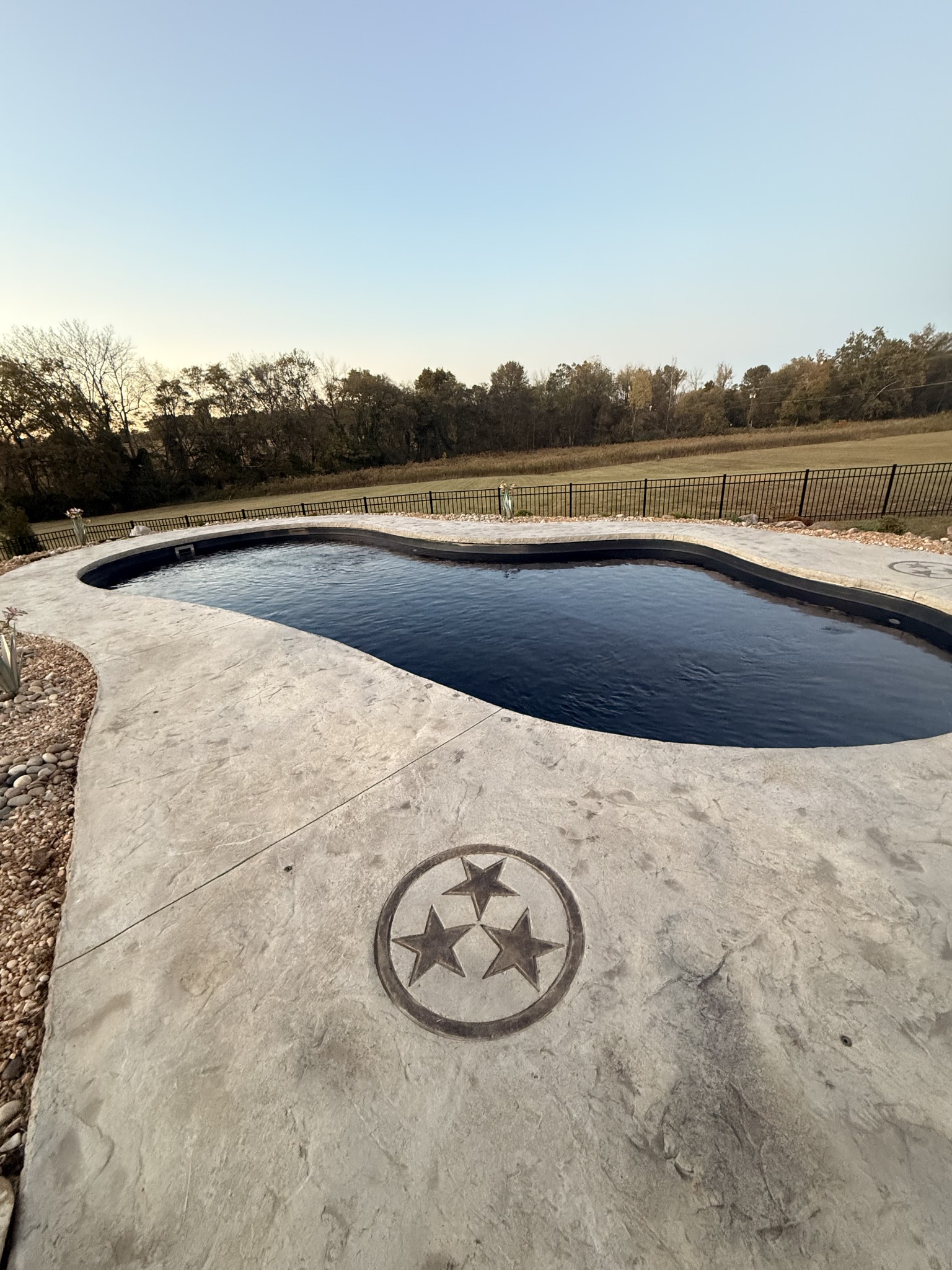 3378 New Hall Road Greenbrier, TN 37073 - Photo 22 of 67 a view of swimming pool with a yard and large trees