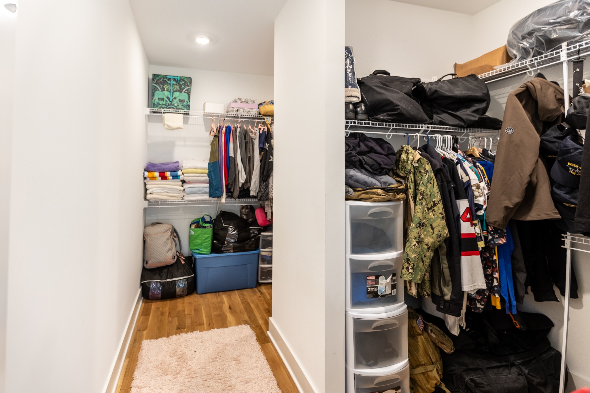 3378 New Hall Road Greenbrier, TN 37073 - Photo 38 of 67 a view of walk in closet with clothes and shoes