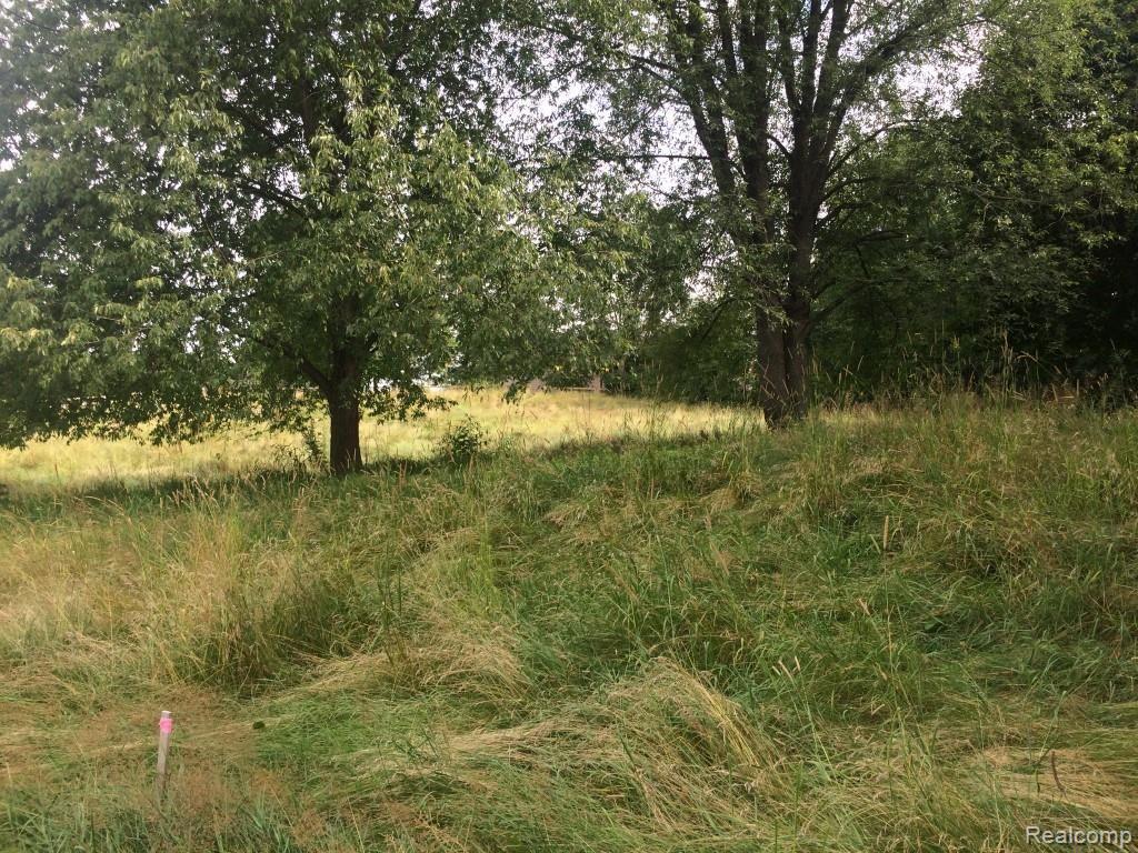 Lot 1 Eager Road Howell, MI 48843 - Photo 14 of 14